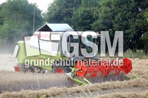Mähdrescher_2.JPG
